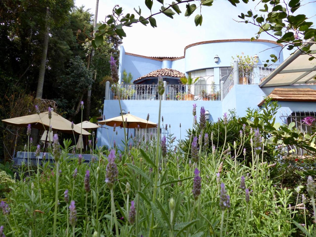 Hotel Casa Carly San Miguel de Allende Exteriér fotografie